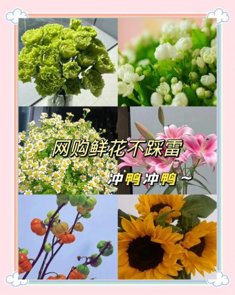 网上买花哪家靠谱_如何挑选优质花卉