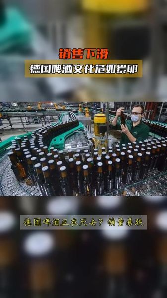 2013年啤酒行业现状如何_啤酒销量为何下滑