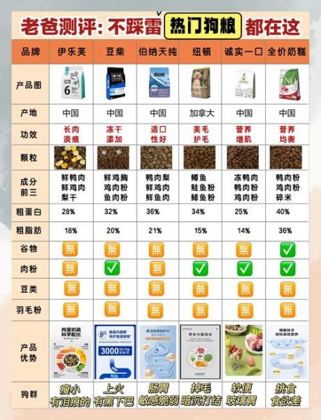 宠物食品哪个牌子好_如何选择适合狗狗的狗粮