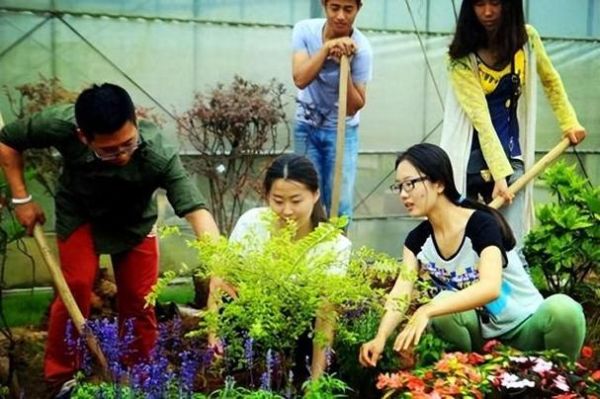 园艺前景怎么样_园艺创业赚钱吗