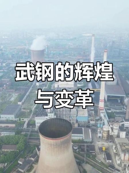 武钢未来发展前景如何_武钢转型成功了吗