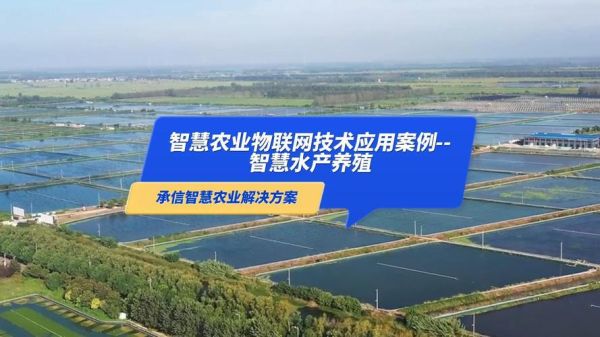 浙江互联网+农业怎么做_智慧农业有哪些案例