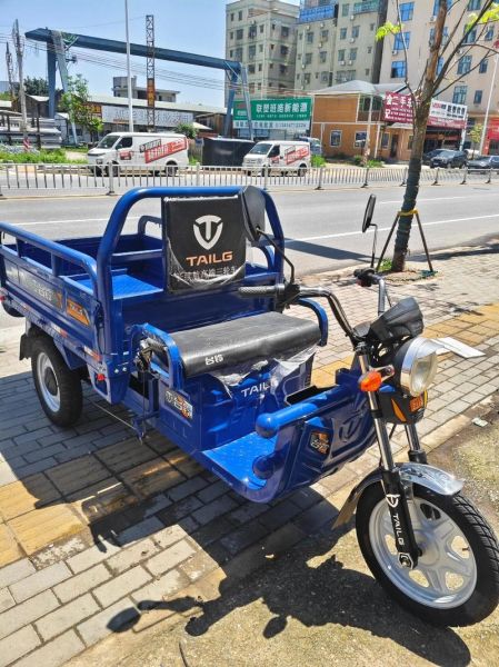 电动三轮前景怎么样_电动三轮车值得投资吗