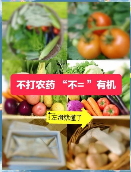 有机蔬菜真的更健康吗_如何挑选有机蔬菜