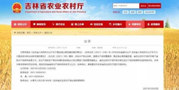 吉林省互联网普及率_如何提高吉林省网络覆盖率