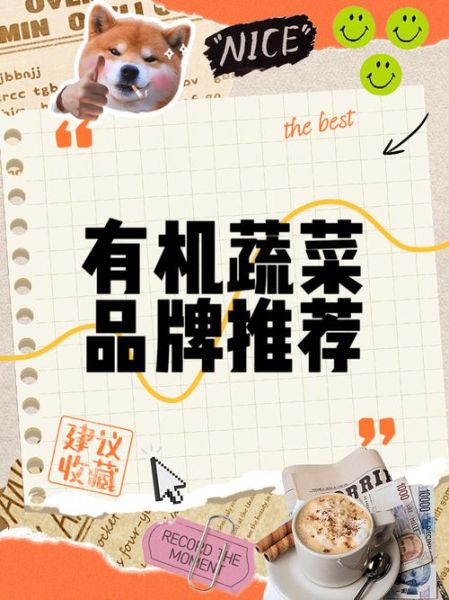 有机蔬菜市场前景怎么样_有机蔬菜加盟赚钱吗