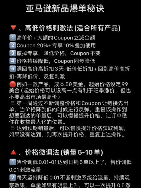 跨境电商独立站怎么做_如何选品才能爆单