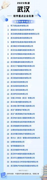 2018年武汉互联网公司有哪些_武汉互联网行业发展如何