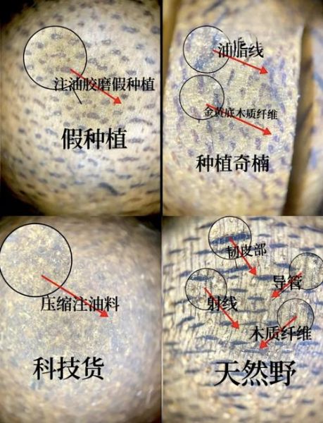 沉香的功效与作用_如何鉴别真假沉香