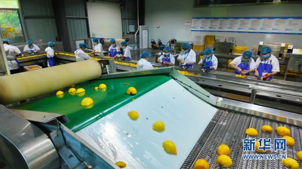 桃子深加工市场前景如何_桃子深加工有哪些产品