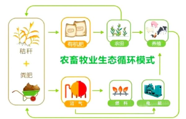 生态农业发展前景如何_生态农业有哪些盈利模式