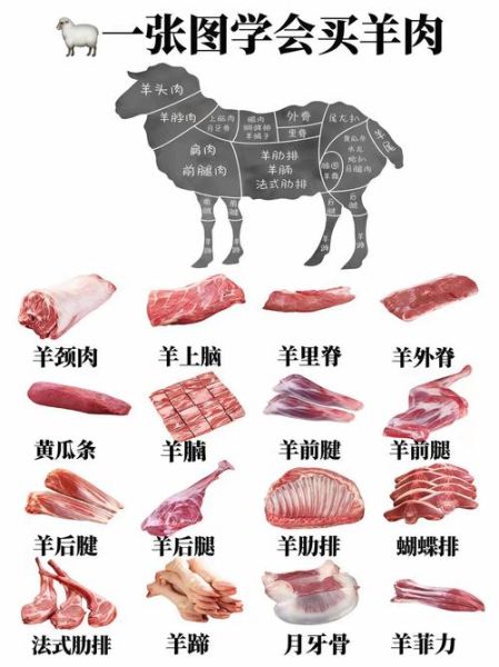 羊肉批发价格走势_如何挑选新鲜羊肉