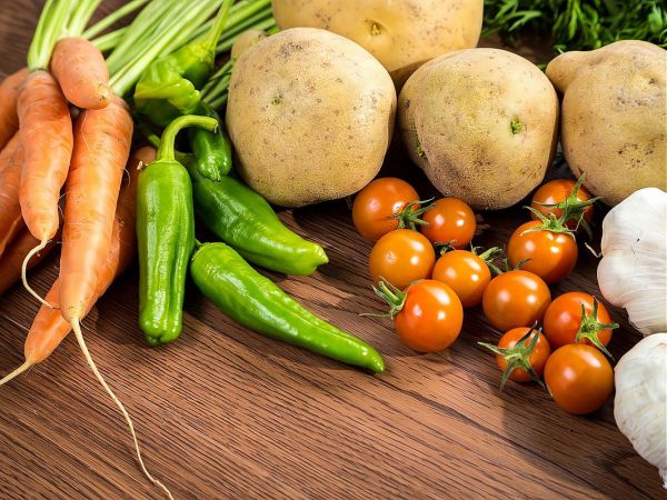 蔬菜种植前景怎么样_2024年最赚钱品种