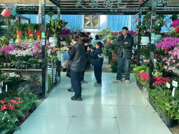 花卉业前景怎么样_开花店赚钱吗