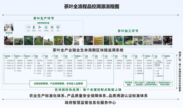 中国茶产业互联网创新_如何打造数字化茶园