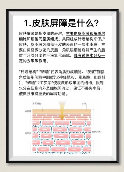 敏感肌用什么护肤品_如何修复皮肤屏障