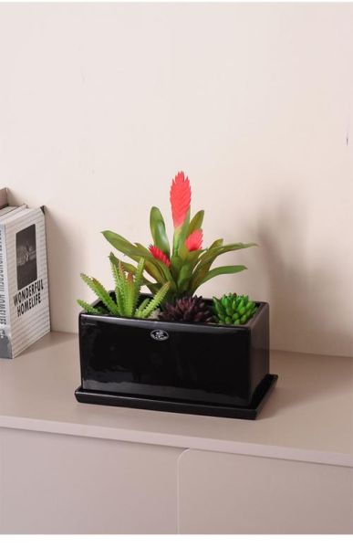 花盆市场前景怎么样_花盆行业未来趋势