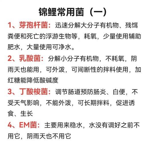 养菌前景怎么样_养菌赚钱吗