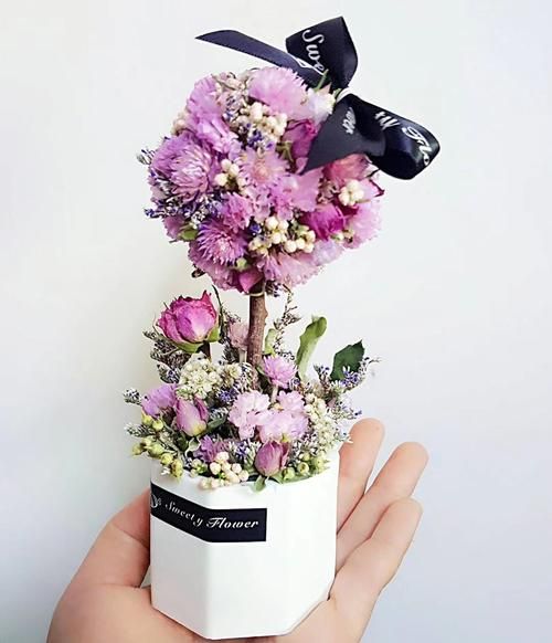 干花市场前景如何_干花创业赚钱吗