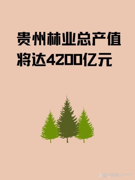 贵州发展前景怎么样_贵州适合投资哪些行业