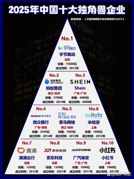 互联网公司发展潜力分析_如何判断未来独角兽