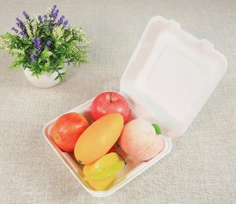 餐盒生意好做吗_环保餐盒市场前景