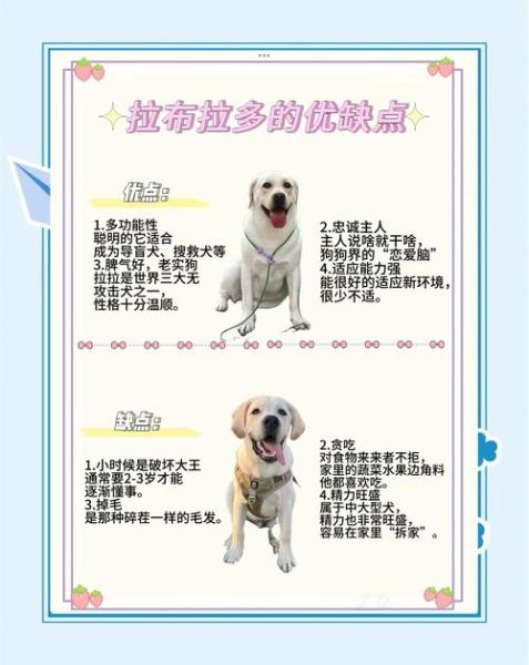 宠物养殖赚钱吗_新手如何开始宠物养殖