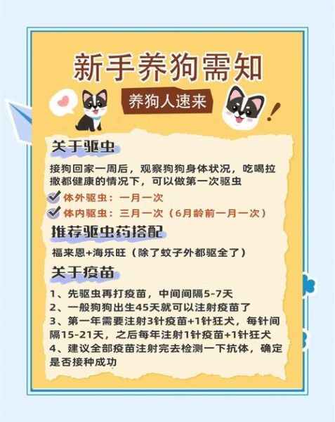 宠物养殖赚钱吗_新手如何开始宠物养殖