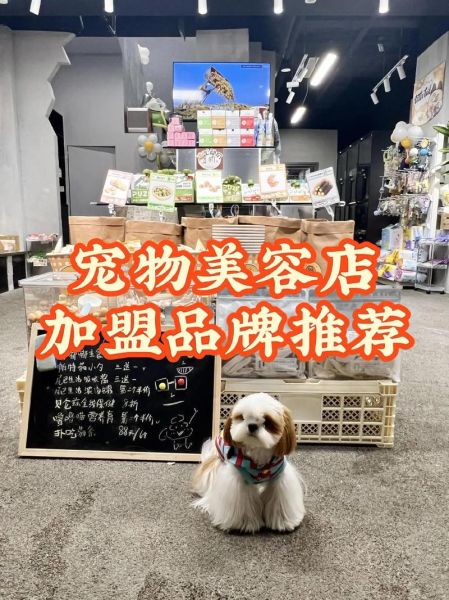 宠物行业未来五年赚钱吗_宠物店加盟还是自营好