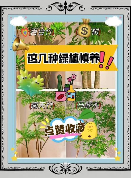 绿植行业前景怎么样_新手如何入局