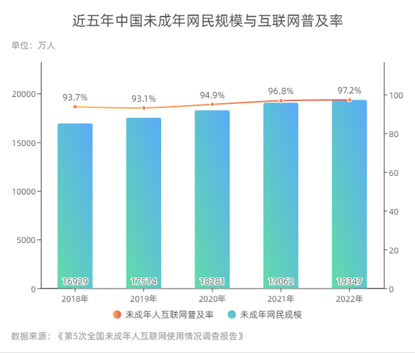 中国互联网发展问题研究_未来趋势与挑战