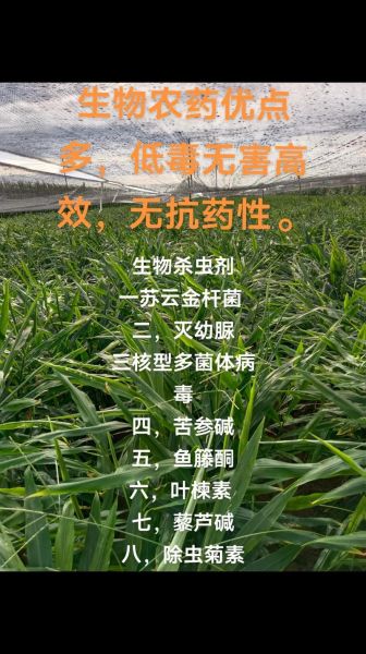 生物农药有哪些优势_未来市场前景如何