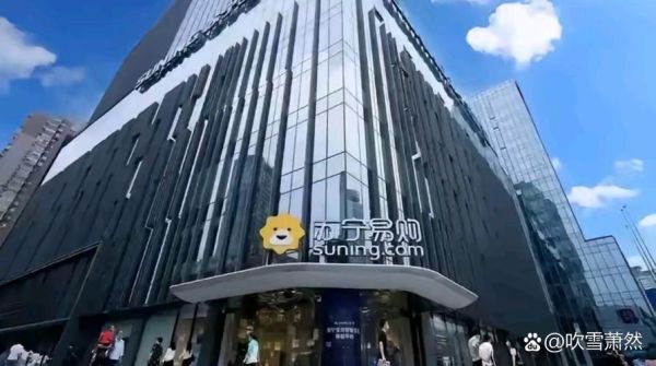 苏宁七年互联网转型_成功了吗