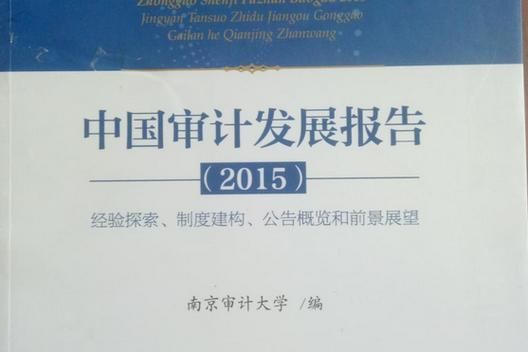 审计行业未来趋势_审计师职业前景怎么样