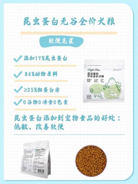 昆虫蛋白有哪些好处_未来昆虫食品市场有多大