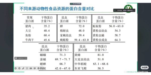 昆虫蛋白有哪些好处_未来昆虫食品市场有多大