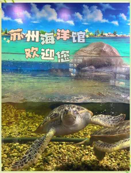 海洋馆门票多少钱_带孩子去海洋馆怎么玩