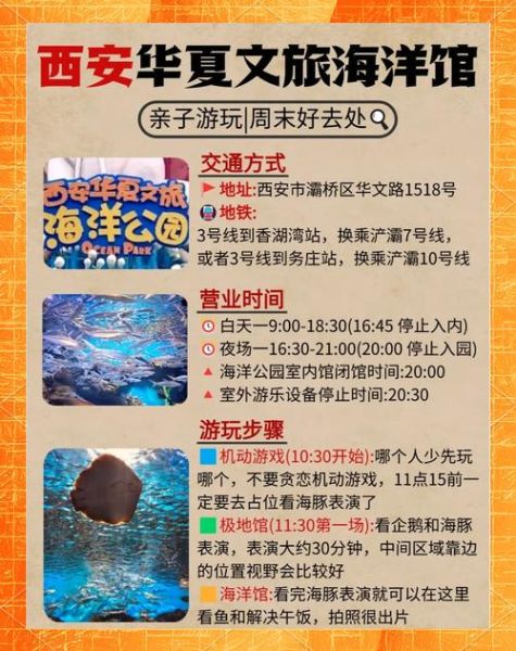 海洋馆门票多少钱_带孩子去海洋馆怎么玩