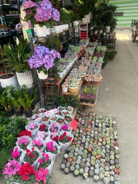 花卉市场前景怎么样_开花店赚钱吗