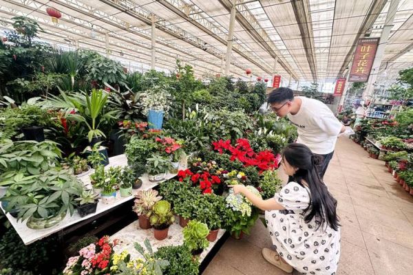 花卉市场前景怎么样_开花店赚钱吗