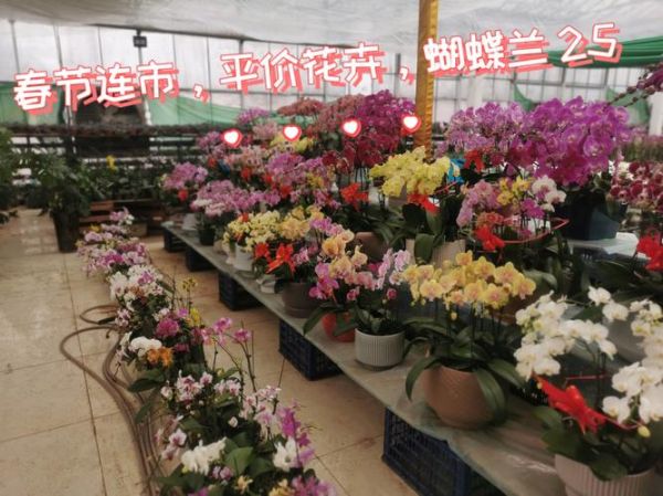 花卉市场前景怎么样_开花店赚钱吗