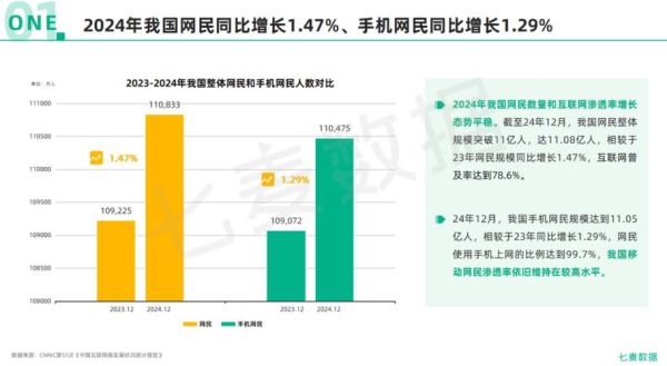 中国互联网用户规模_2024年最新数据