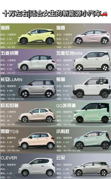 2024年新能源汽车值得买吗_10万级纯电车怎么选