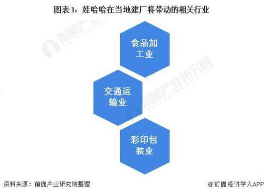娃哈哈行业现状如何_娃哈哈未来增长机会在哪