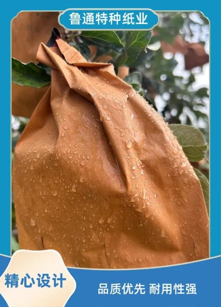 纸果袋环保吗_纸果袋市场前景如何