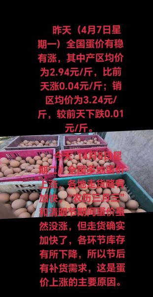蛋业前景怎么样_2024年鸡蛋价格还会涨吗