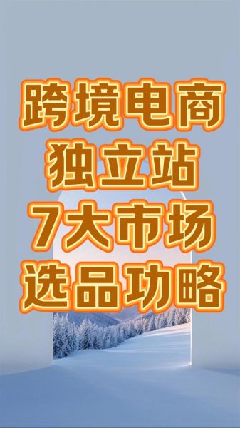 2024年跨境电商怎么做_独立站如何选品