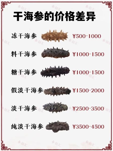 海参怎么挑选_海参价格为什么差距大