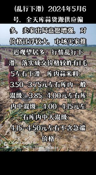 大蒜种植前景怎么样_2024年大蒜价格走势预测