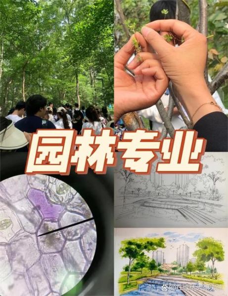 园林行业发展前景如何_园林设计师就业方向有哪些